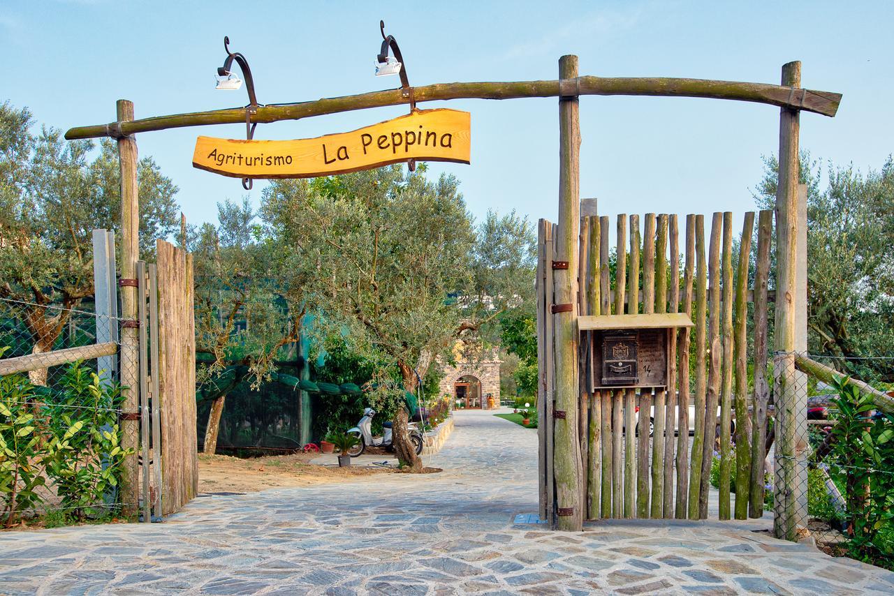 Agriturismo La Peppina Massa Lubrense Kültér fotó