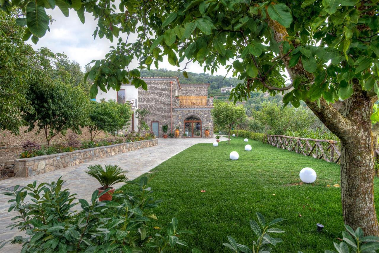 Agriturismo La Peppina Massa Lubrense Kültér fotó